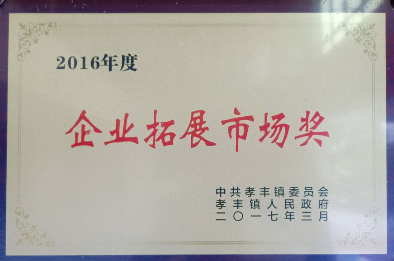 2016年度企业拓展市场奖