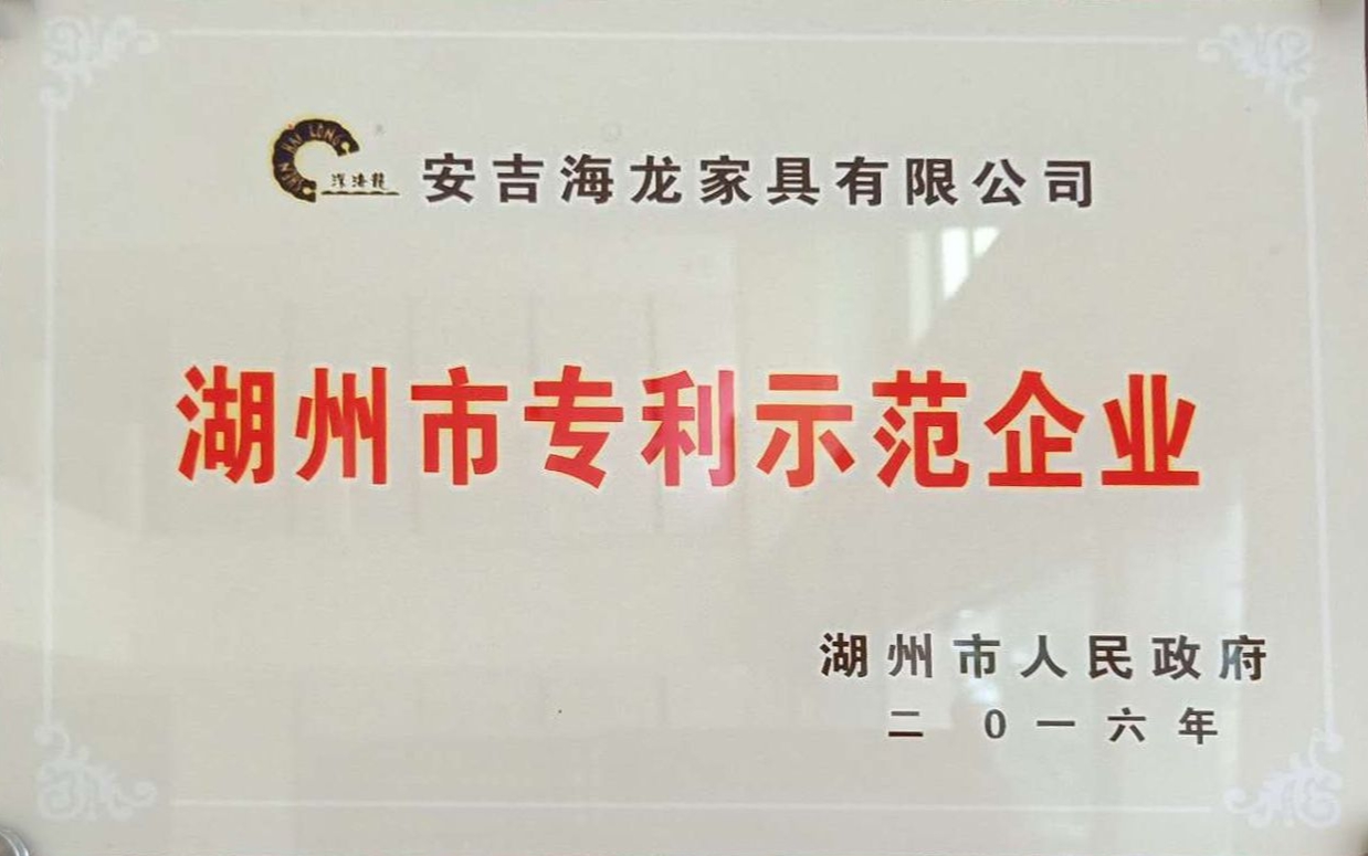湖州市专利示范企业