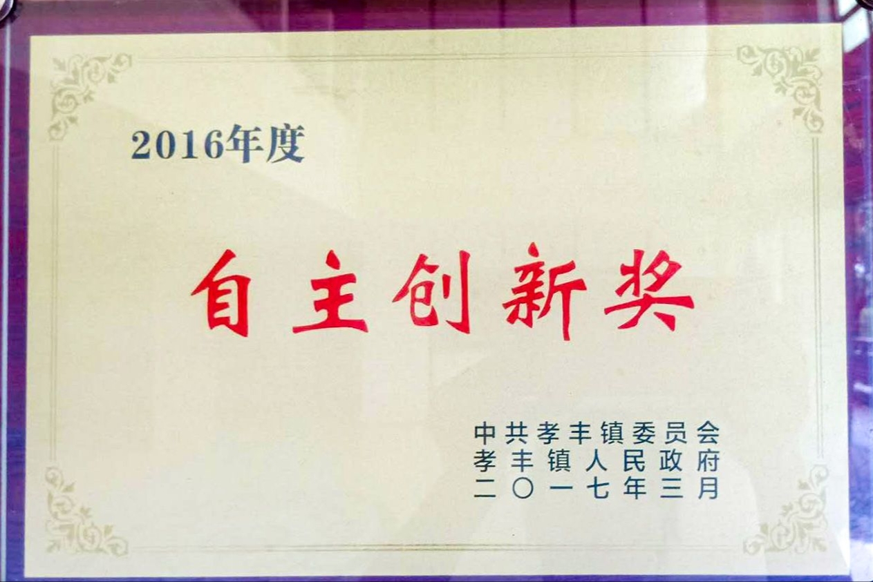 自主创新奖