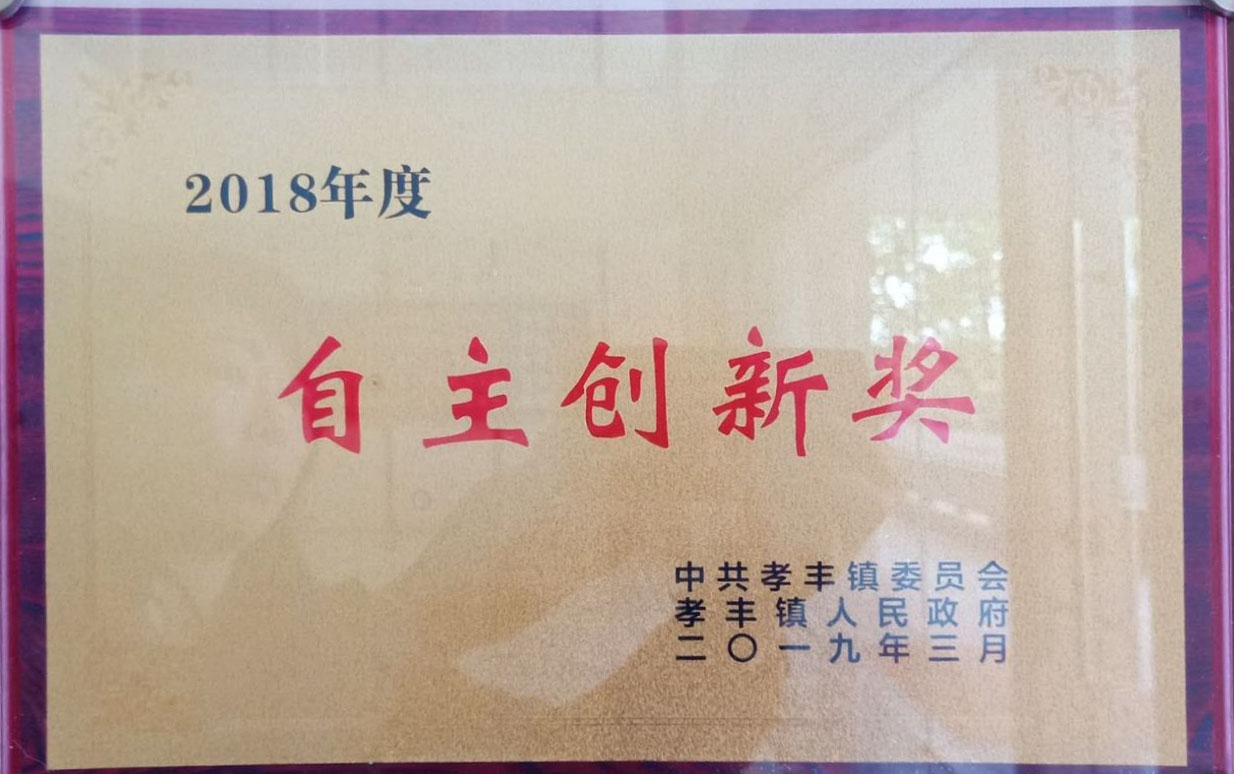 自主创新奖