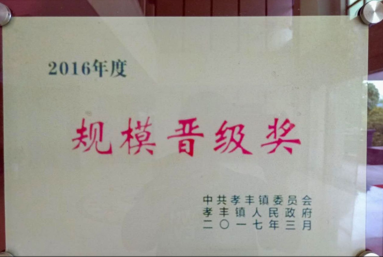 规模晋级奖